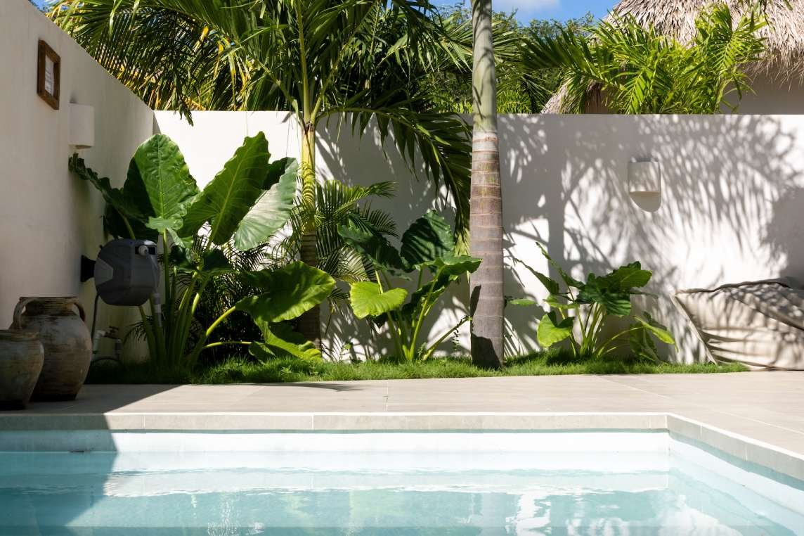 Villa Palmera Img 1